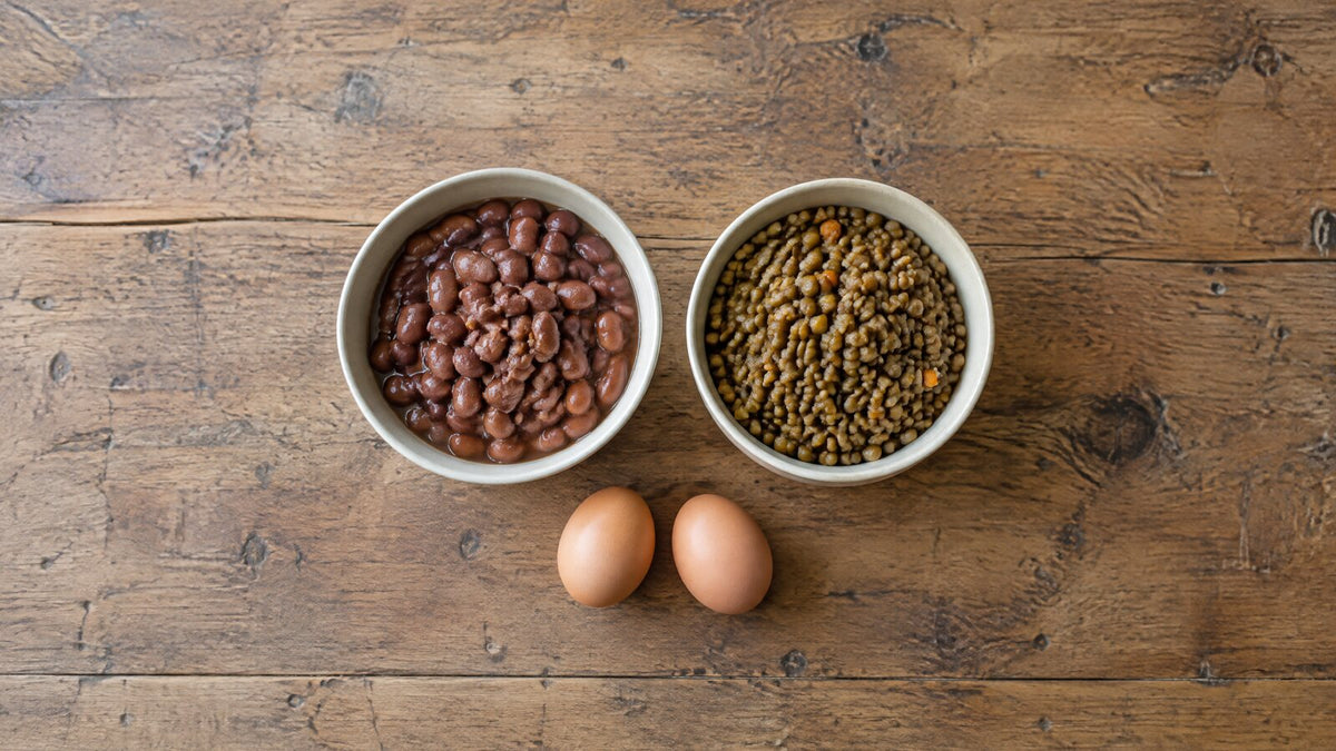 Feijão é carboidrato ou proteína? E a lentilha e o ovo?