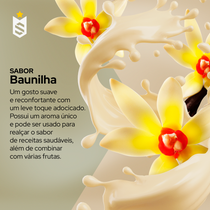 Whey Blend Protein Concentrado e Isolado - 900g - Soldiers Nutrition