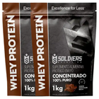 Kit Whey Protein Concentrado - 2kg 2